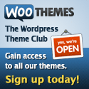 WordPress Themes by woo