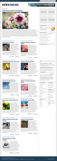 NewsTheme ? Free WordPress Theme